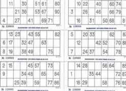 Banko plader papir, engangs, 150 stk
