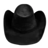 Cowboy Hat Wyoming sort