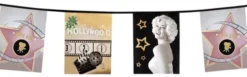 Hollywood flagbanner 6 meter