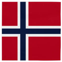 Norge flag serviet