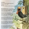Opvarmnings-program for alle