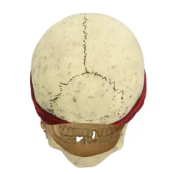 Pirat Crinson Latexmaske