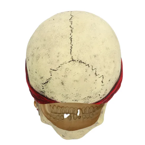 Pirat Crinson Latexmaske