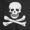 Pirat Servietter med Skull