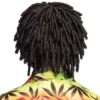 Reggae Paryk - Ruud Gullit