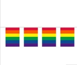Regnbue Flag guirlande, plast 20x30 cm,10 mtr. 15 flag