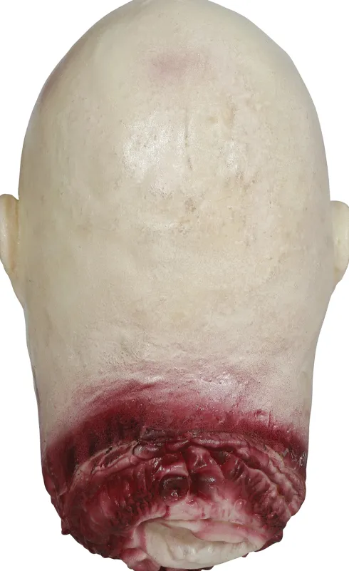 Skaldet afhugget hoved latex