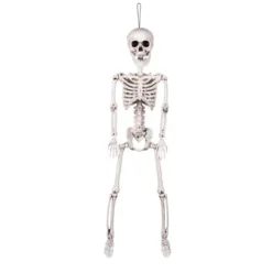 Skelet 60 cm - Position