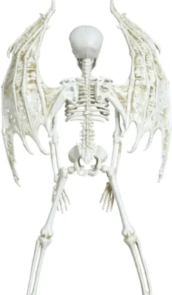 Skeletdjævel 40cm