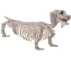 Skelet Gravhund