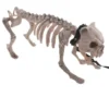 Skelet HUND