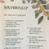 Sølvbryllup
