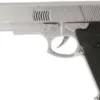 Sølv Pistol