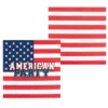 USA serviet - American Party