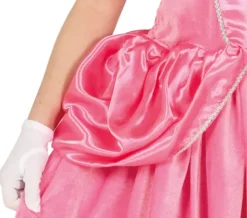 Vinter Prinsesse kostumer