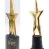 VIP Stjerne pokal