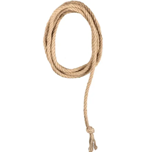 Western Lasso reb