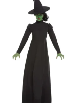 Wicked Witch kostume