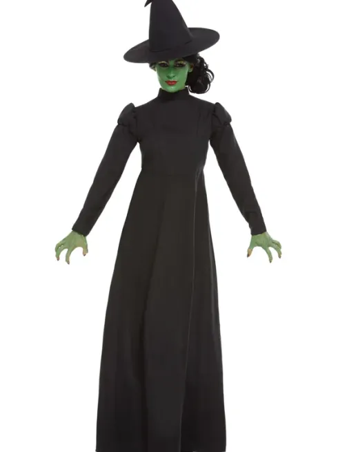 Wicked Witch kostume