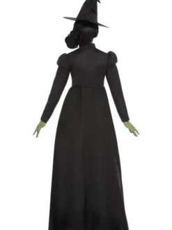 Wicked Witch kostume