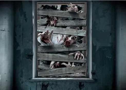 Zombie Vindue cover
